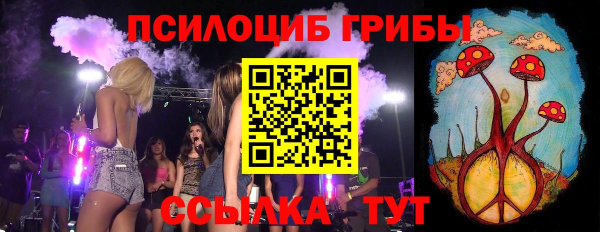 Галлюциногенные грибы Psilocybine cubensis Лесосибирск
