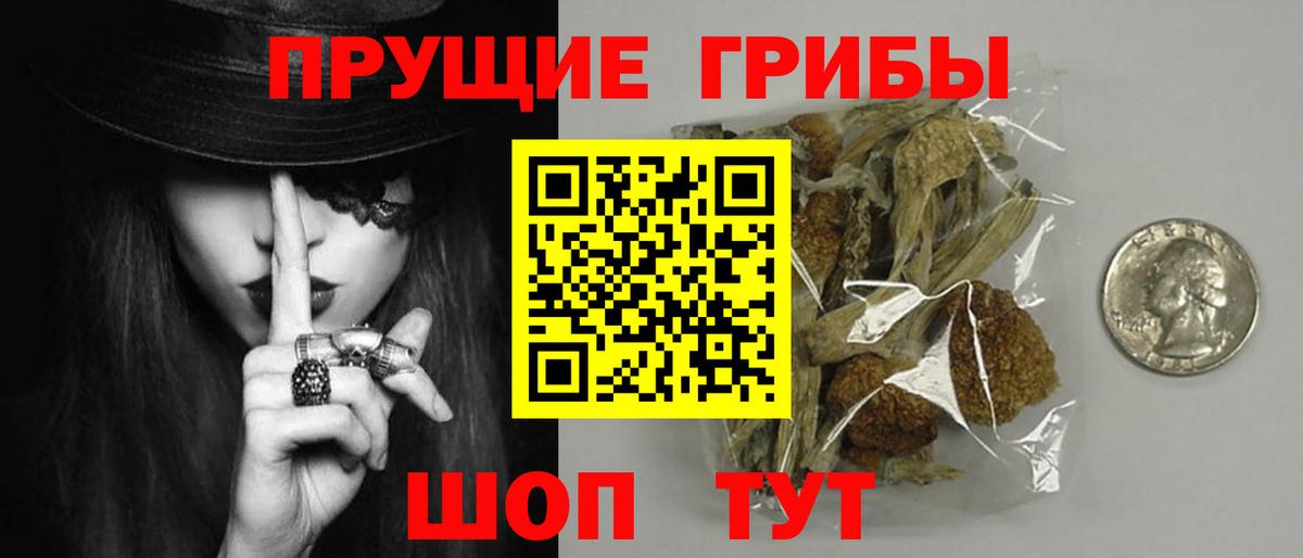 купить наркоту  Вход с VPN  Галлюциногенные грибы Psilocybine cubensis  Лесосибирск  Псилоцибиновые грибы MAGIC MUSHROOMS 